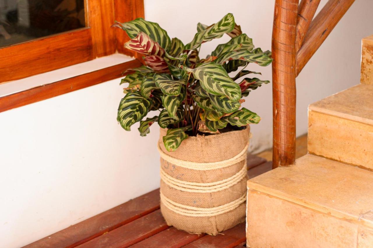 Apartamento Casa Mirella Jeri Jijoca de Jericoacoara Exterior foto
